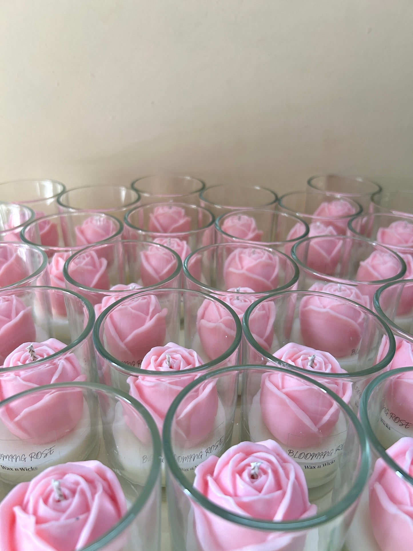 Blooming Rose