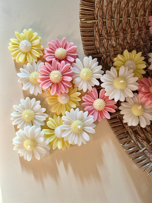 Sunflower (Pack of 2)