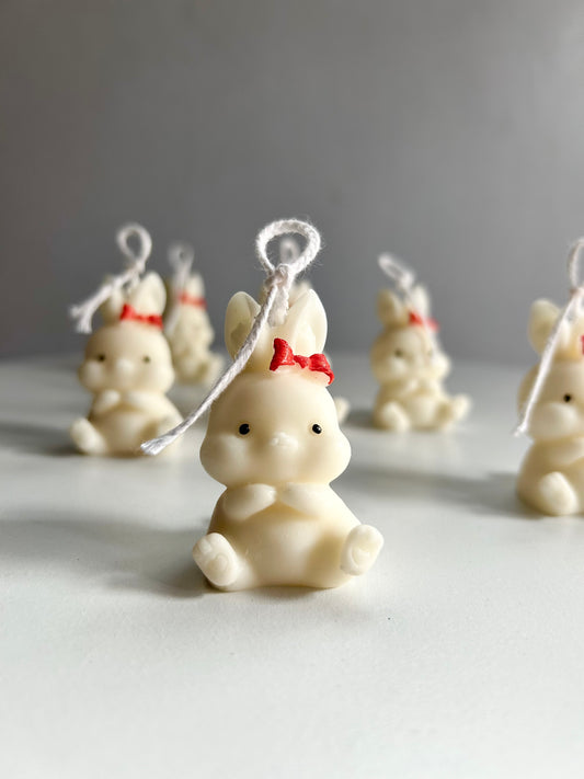 Bunnies (pack of 2)