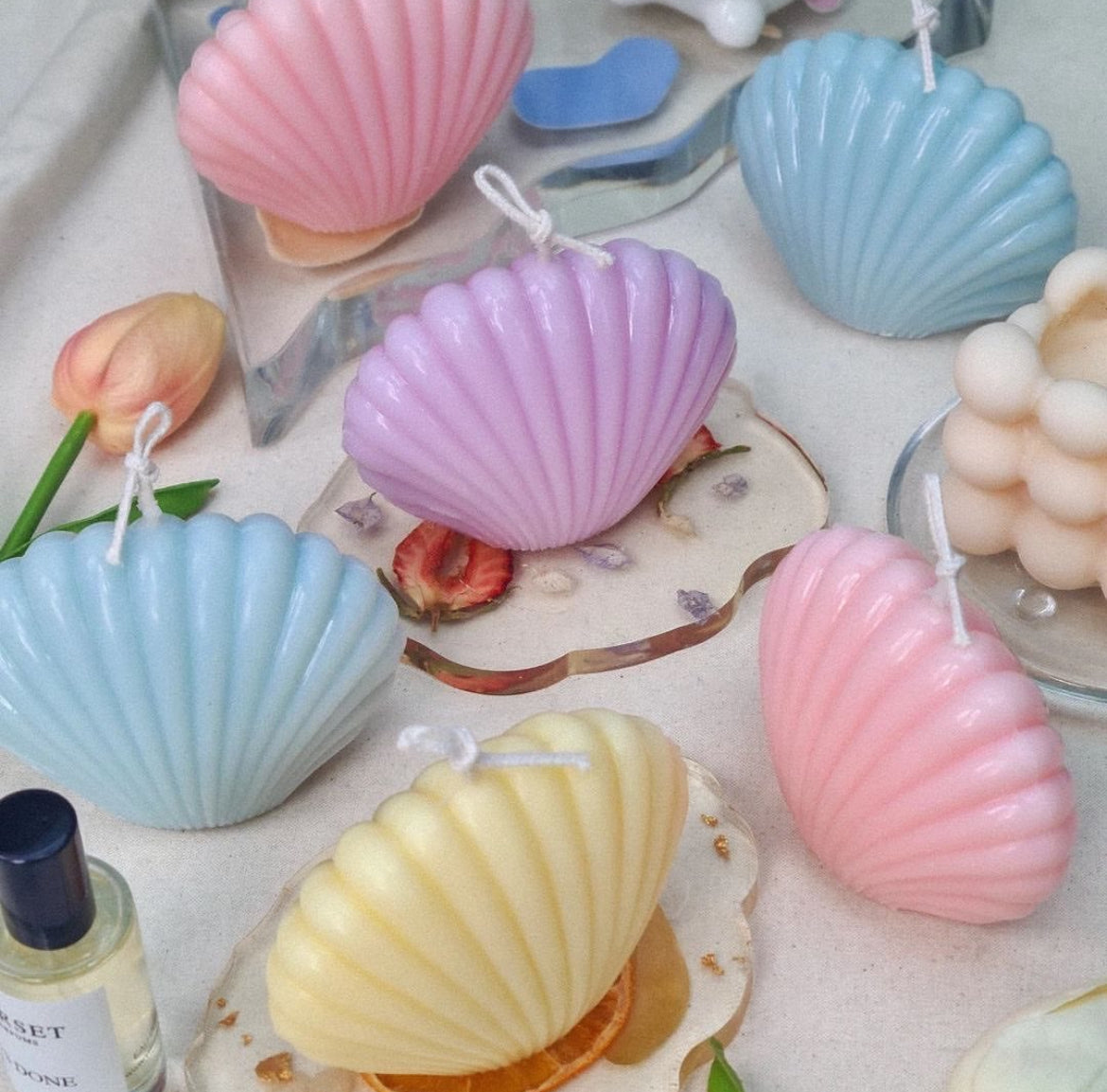 Shell candle